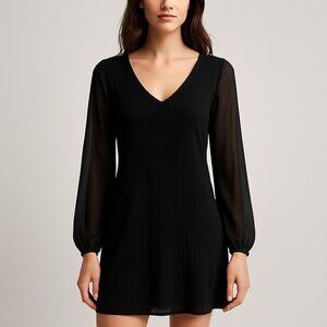 Express Sheer Sleeve V-Neck Dress‎